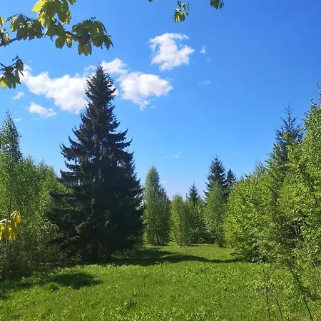 Medve Dome - Luxury Camping In The Middle Of Nature *