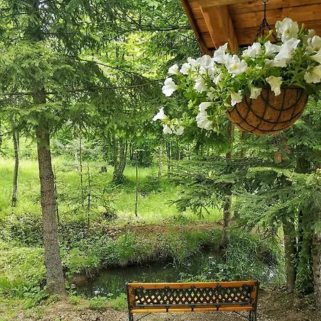 Medve Dome - Luxury Camping In The Middle Of Nature