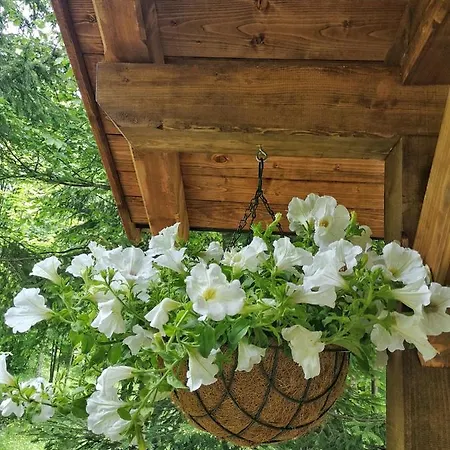 Medve Dome - Luxury Camping In The Middle Of Nature * Szentegyháza